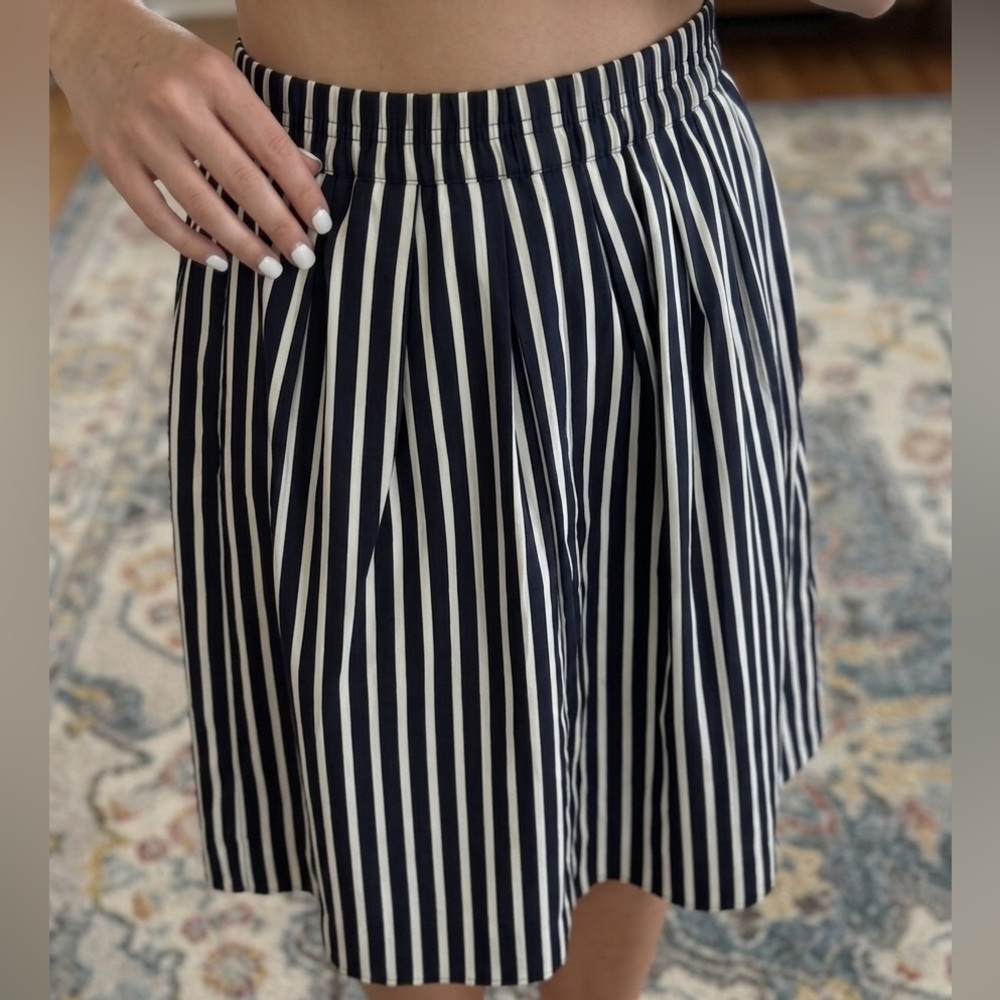 J. Crew Navy and White Vertical Stripe Skater Skirt